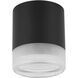 Lucia LED 5.5 inch Matte Black Flush Mount Ceiling Light