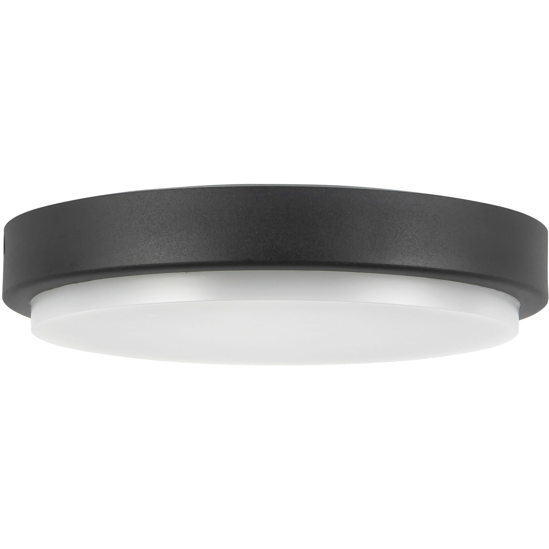 Bailey 9 inch Black Exterior Ceiling