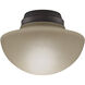 Samuel 1 Light Fluorescent Dark Bronze Bowl Fitter