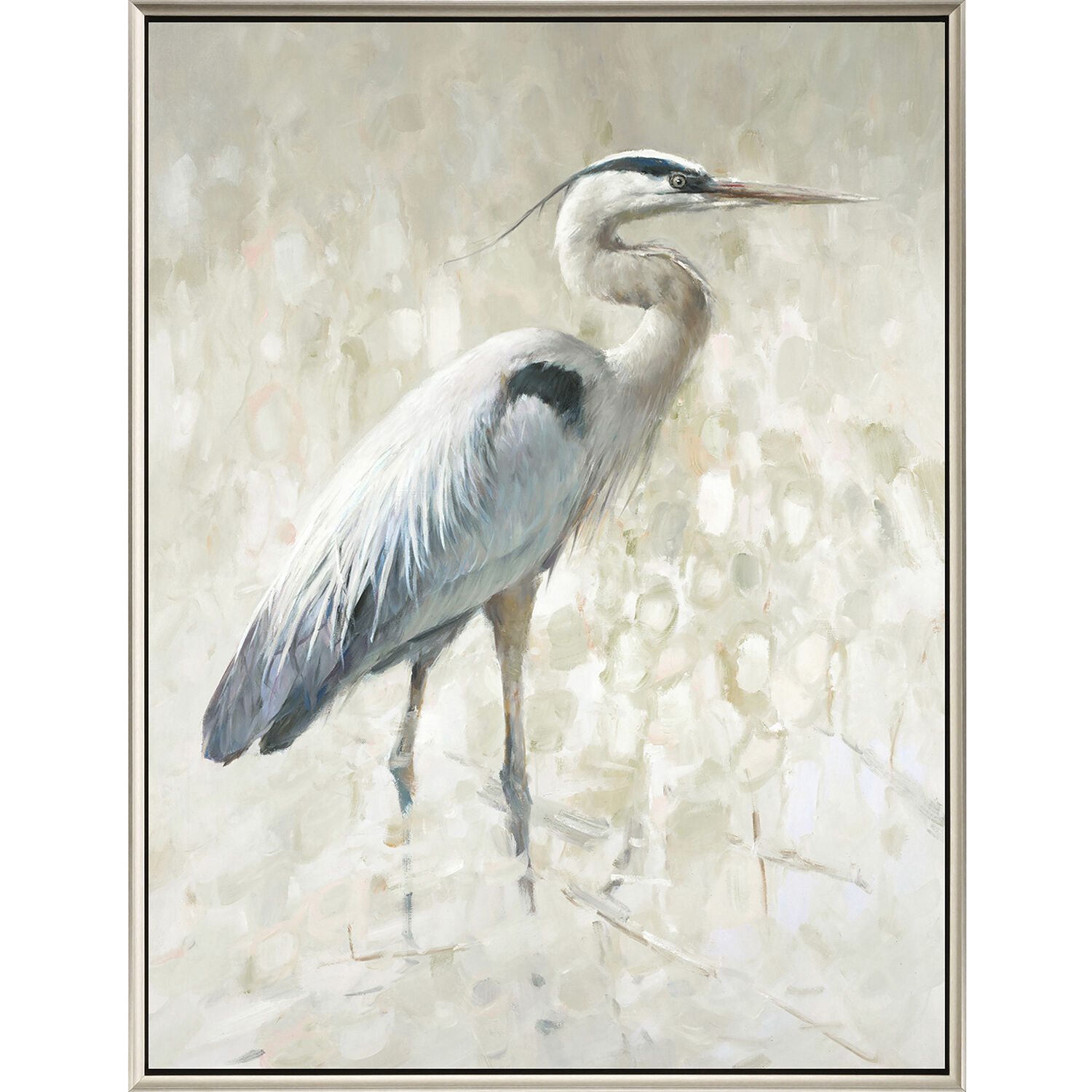 Great Blue Heron White Canvas