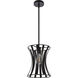 Lily 1 Light 10 inch Black Pendant Ceiling Light