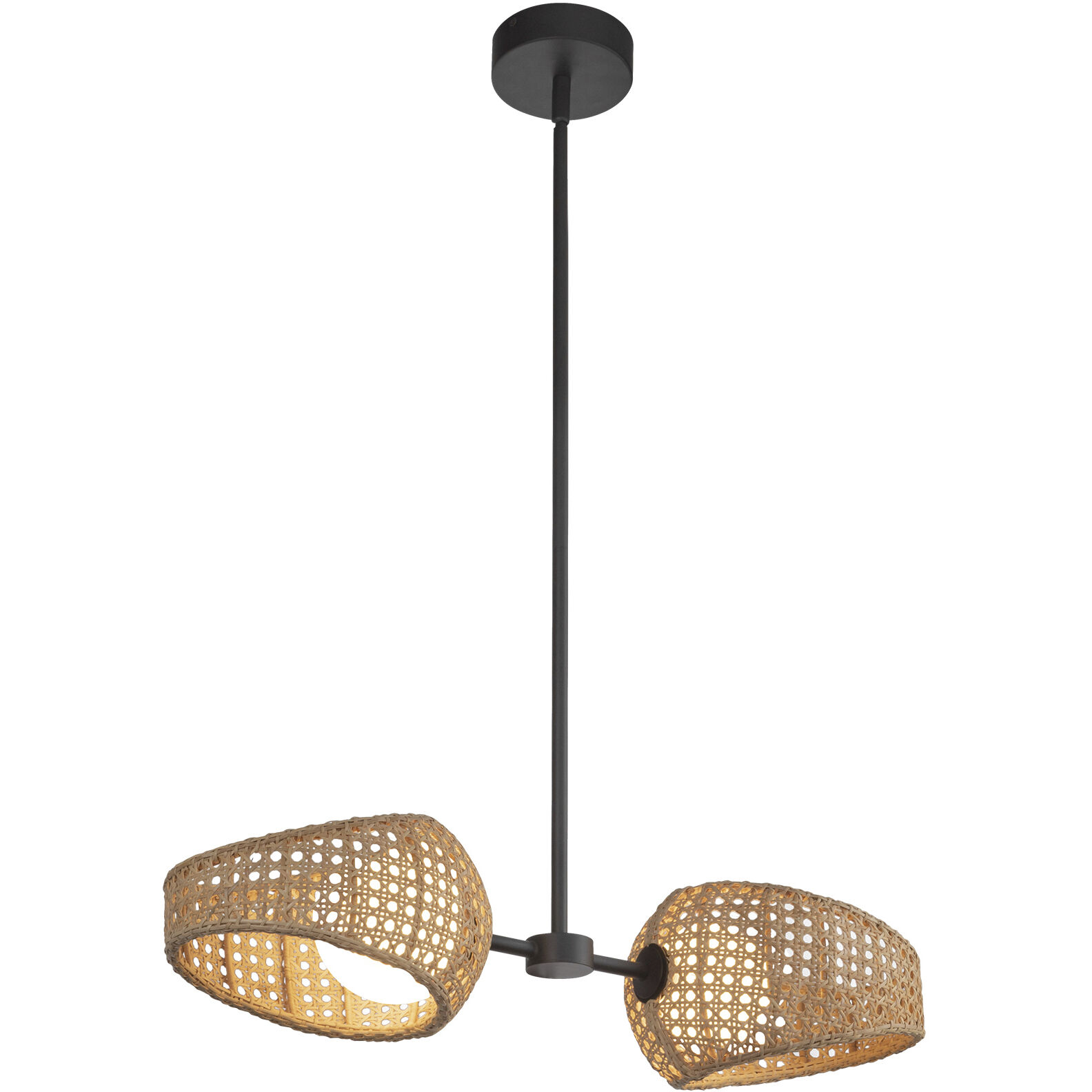 Lanai Pendant Ceiling Light