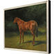 Animals Brown and Green and Multi and Neutral Framed Art