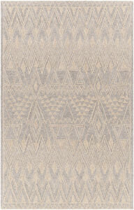 Newcastle 72 X 48 inch Taupe Rug in 4 X 6, Rectangle