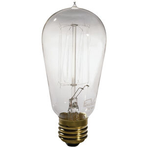 Historical Edison 120V Bulb in 18