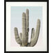 Pienaar Saguaro Green and Blue and Pink Framed Art