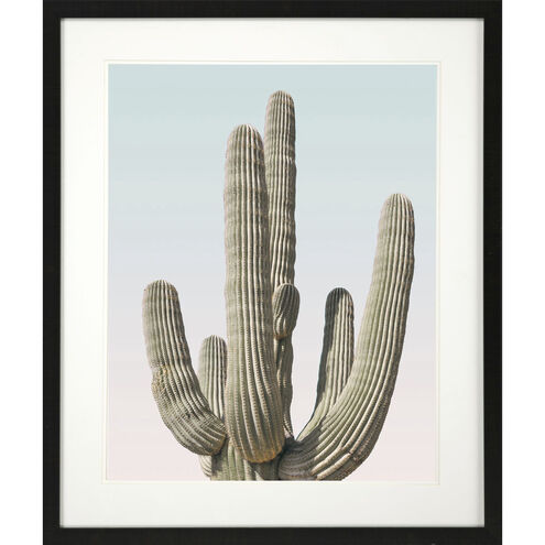 Pienaar Saguaro Green and Blue and Pink Framed Art
