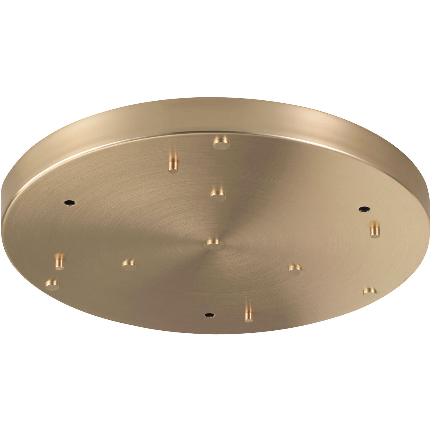 Leo 16.5 inch Oxidized Rose Multi Ceiling Canopy Ceiling Light