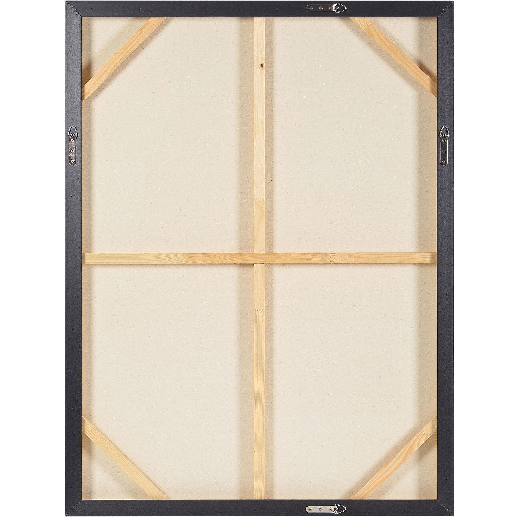 Esmerelda Collage and Gold Leaf Canvas Art