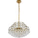 Savannah 5 Light 20 inch Brass Pendant Ceiling Light