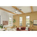 Lucian 60 inch Polished Nickel with Black/Silver Blades Ceiling Fan
