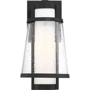 Anau 1 Light 13 inch Matte Black and Glass Outdoor Wall Lantern, Small
