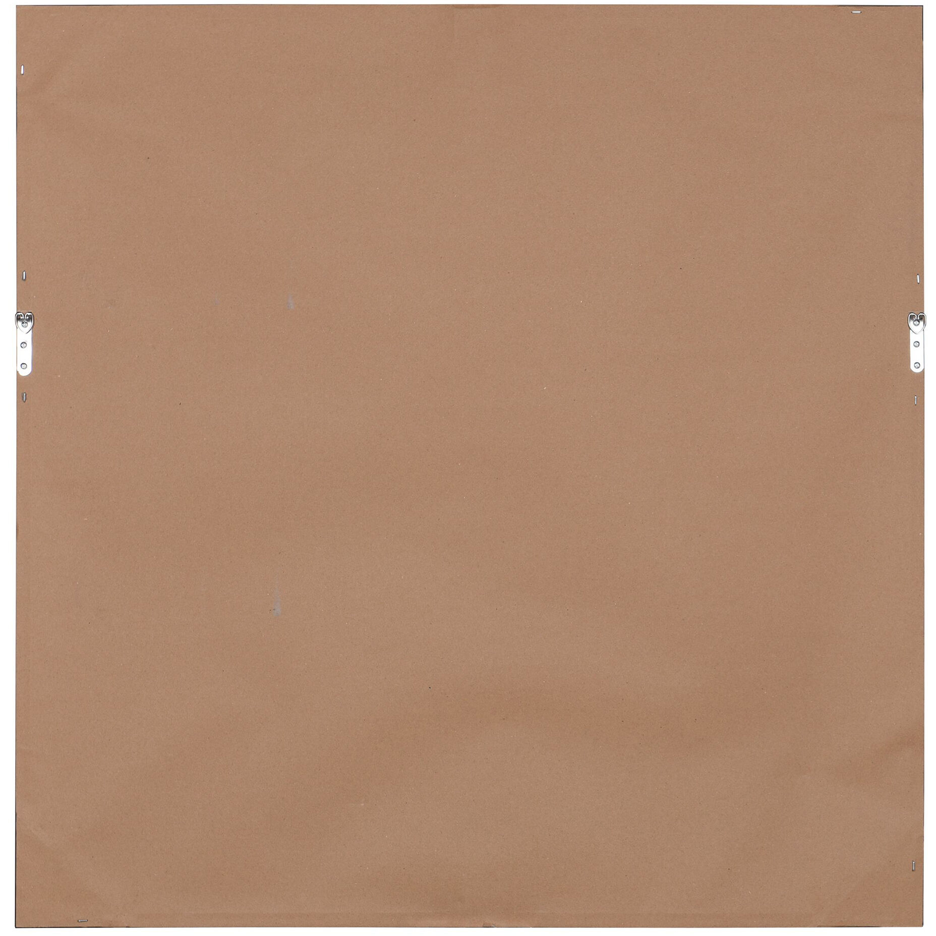 Topical Line Black and White -Acrylic Accents Wall Art