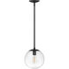 Warby 1 Light 9.5 inch Black Indoor Pendant Ceiling Light in Clear