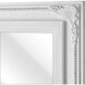 Marla 39 X 27 inch White with Clear Wall Mirror