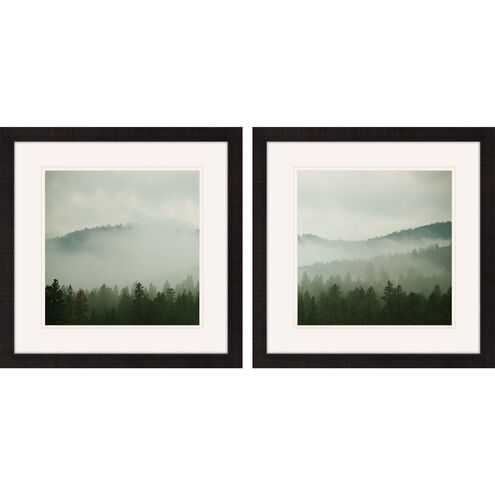 Photography Collection Dark Espresso Wood Framed Art