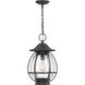 Boston 1 Light 10.5 inch Mottled Black Outdoor Hanging Lantern