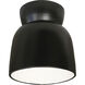 Radiance Collection 1 Light 7.5 inch Carbon Matte Black Flush Mount Ceiling Light