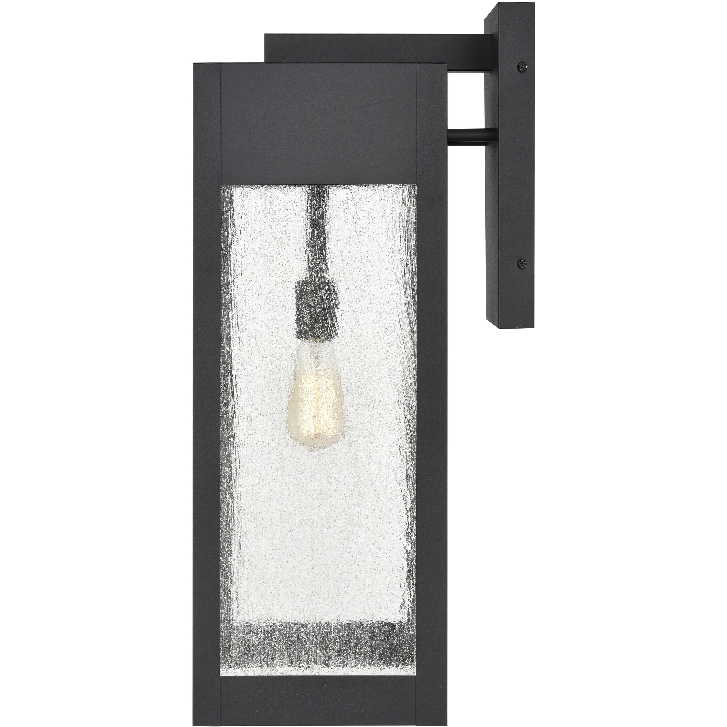 Angus 1 Light 26.25 inch Charcoal with Clear Outdoor Wall Sconce