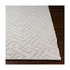 Mystique 36 X 24 inch Light Gray Rugs, Rectangle