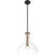 Nova 1 Light 14 inch Matte Black Pendant Ceiling Light