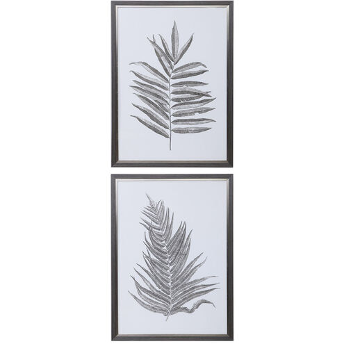 Silver Ferns 39 X 29 inch Framed Prints, Set of 2