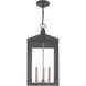 Nyack 3 Light 10.5 inch Scandinavian Gray Outdoor Pendant Lantern