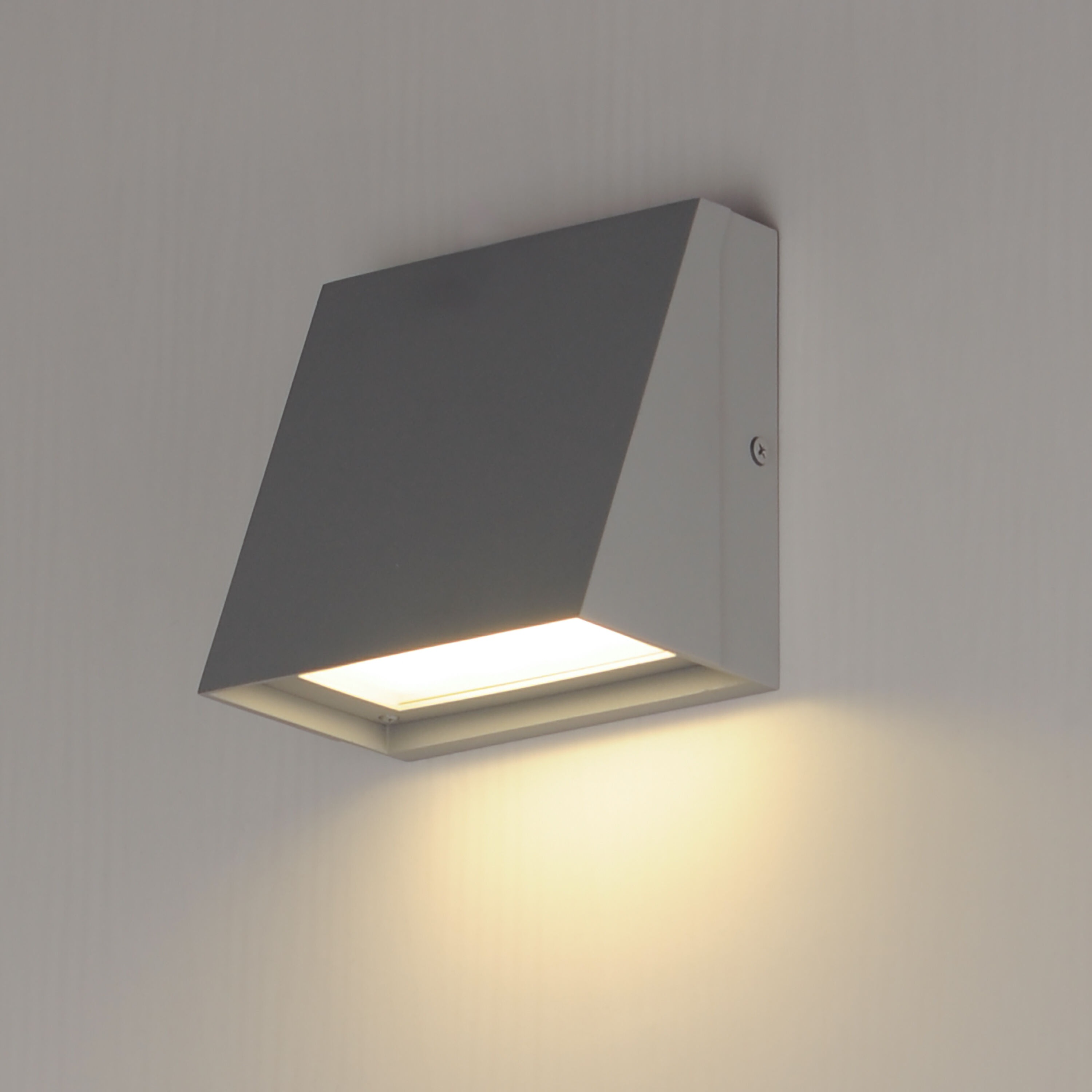 Pathfinder LED 5.5 inch Silver Outdoor Wall Mount