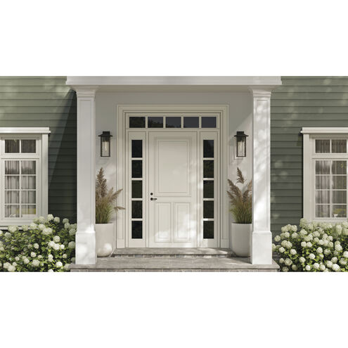 Capanna 1 Light 20 inch Olde Bronze Outdoor Wall Light