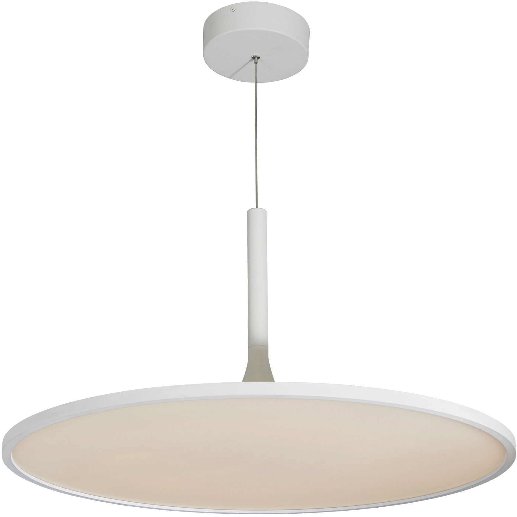 Salm 24 inch White Pendant/Chandelier Ceiling Light