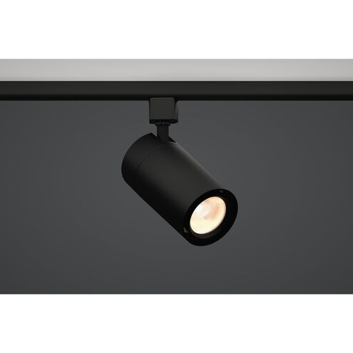 GX25 1 Light 120 Black Track Light Head Ceiling Light, For ECOJ/JUNO Track