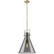 Downtown Urban Newton Cone 1 Light 14 inch Brushed Brass Pendant Ceiling Light in Plated Smoke Glass