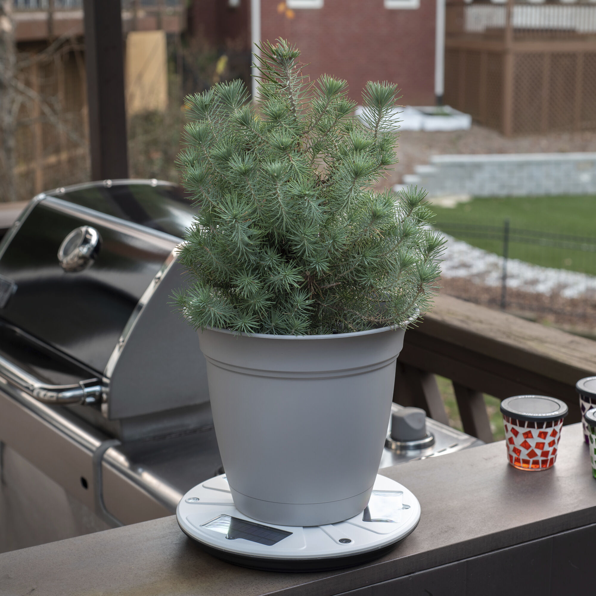 Christopher White Uplight Planter Light, Solar