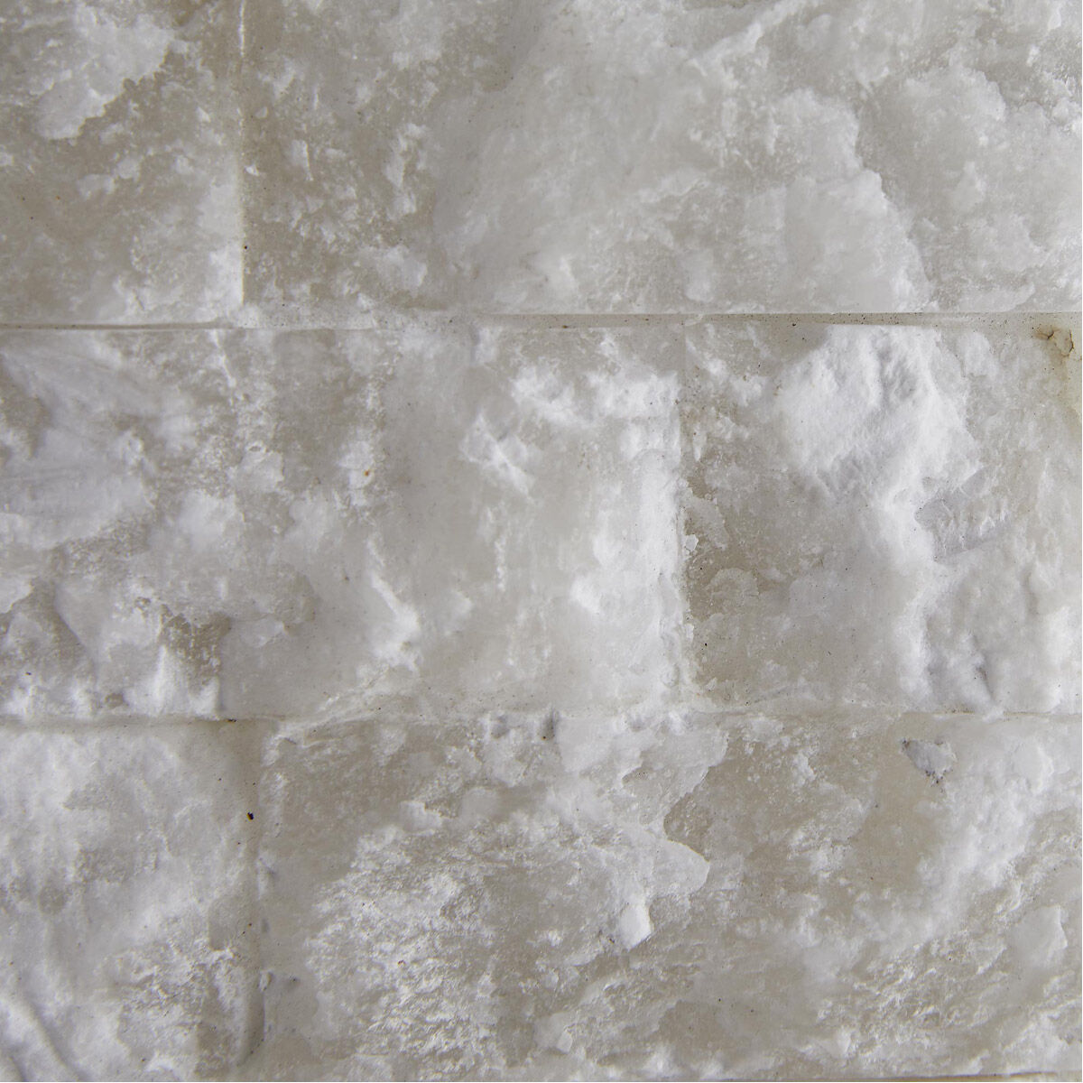 Watercrest LED 7 inch Snow Sconce Wall Light