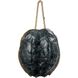 Turtle Shell 13.00 inch  X 11.25 inch Decorative Object & Figurine