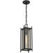 Jacobs 1 Light 5.75 inch Matte Black Outdoor Hanging Lantern