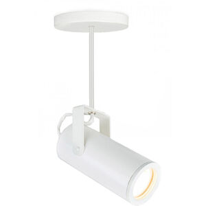 Silo White 20 watt LED Spot Light