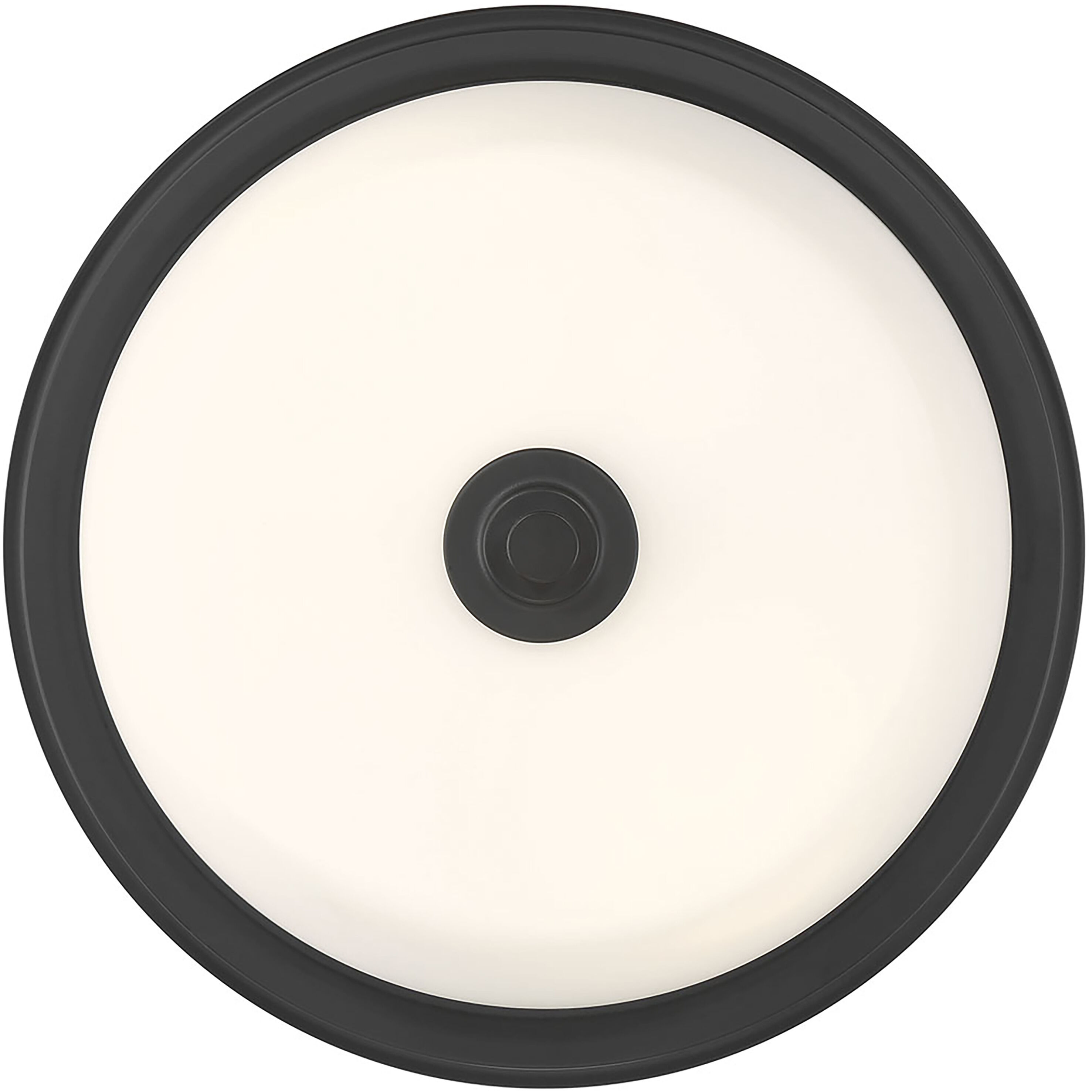 Strayhan 2 Light 13 inch Matte Black Flush Mount Ceiling Light