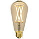 Ledon LED ST64 E26 6.00 watt 3000K Light Bulb, Pack of 3