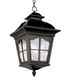 Briarwood 4 Light 13 inch Black Outdoor Hanging Lantern