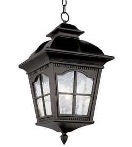 Briarwood 4 Light 13 inch Black Outdoor Hanging Lantern