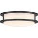 DC Series 1 Light 10.31 inch Matte Black Flush Mount Ceiling Light