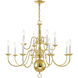 Williamsburgh 12 Light 32 inch Polished Brass Chandelier Ceiling Light