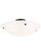 Oasis 4 Light 24 inch Bronze Semi-Flush Mount Ceiling Light