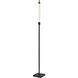 Collin 71 inch 24.00 watt Black Floor Lamp Portable Light