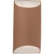 Ambiance Outdoor Wall Sconce