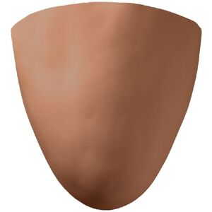 Ambiance 1 Light 10 inch Adobe Wall Sconce Wall Light