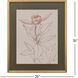 Delicate Sketch 33146 Pink and Gray and Neutral Framed Art
