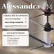 Atlas Alessandra 56 inch Textured Bronze with Walnut Tone Blades Ceiling Fan