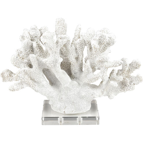 Coral 12 X 8 inch Sculpture